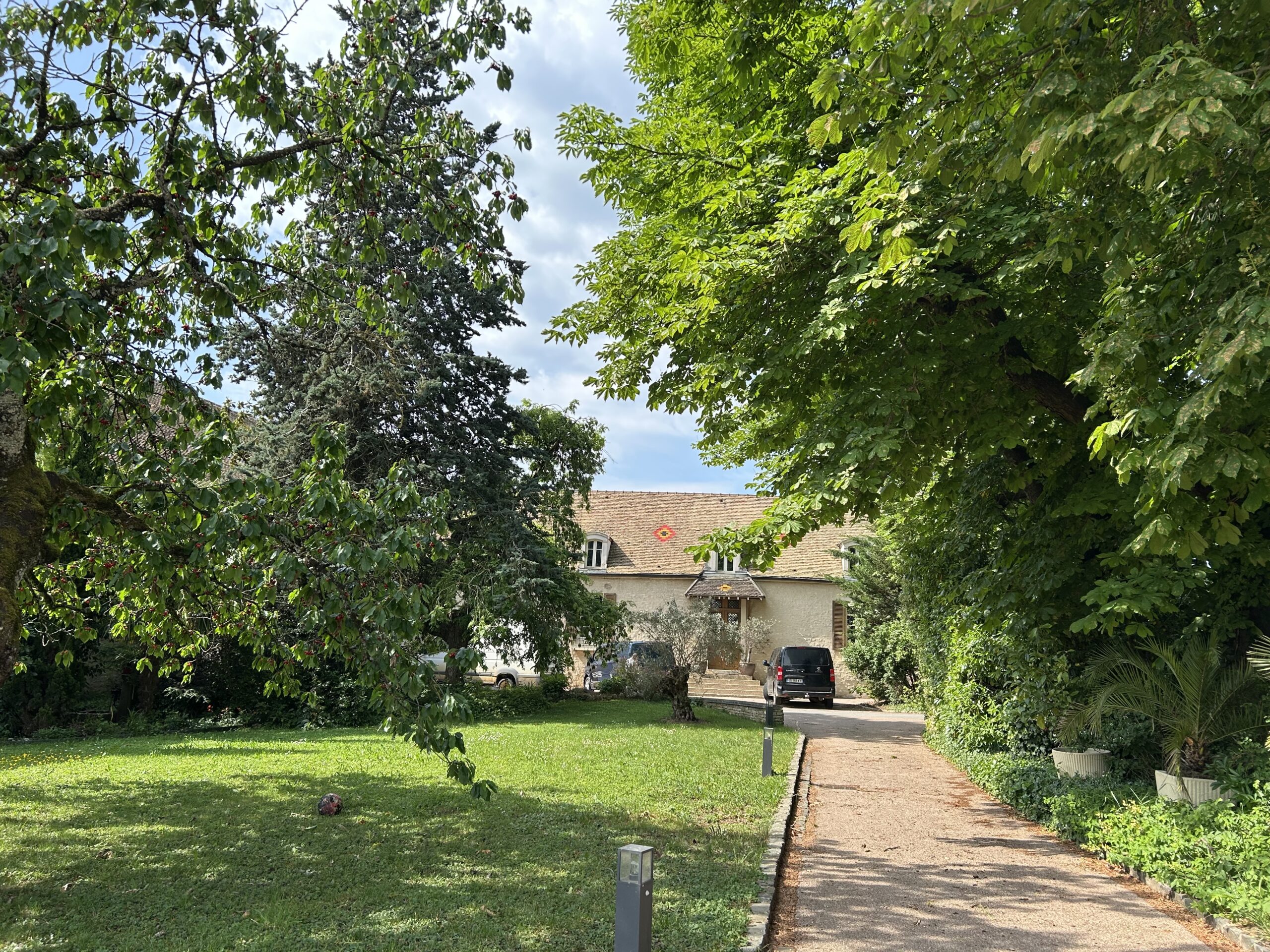 ドメーヌ・ジャン･マルク・ボワイヨ